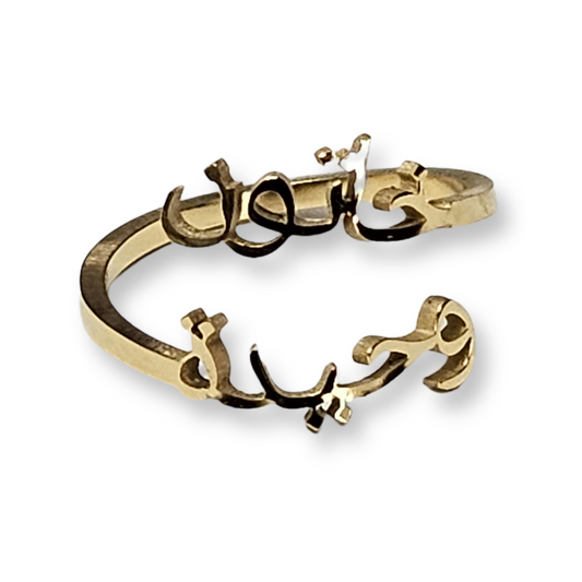 Aniq's Arabian Nights Dual Swirl Ring
